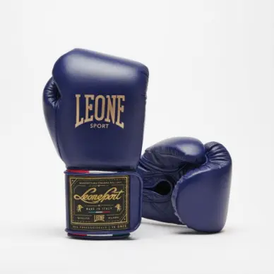 Gants de Boxe Leone Orlando Tricolore - 2