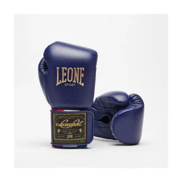 Gants de Boxe Leone Orlando Tricolore