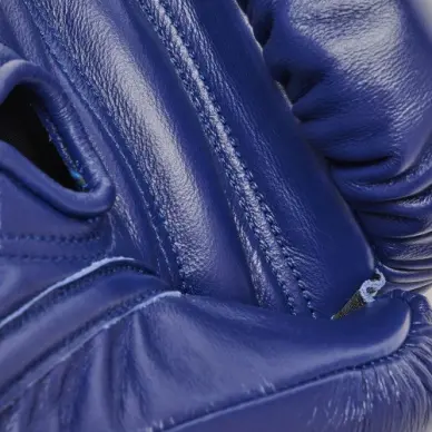 Gants de Boxe Leone Orlando Tricolore - 4