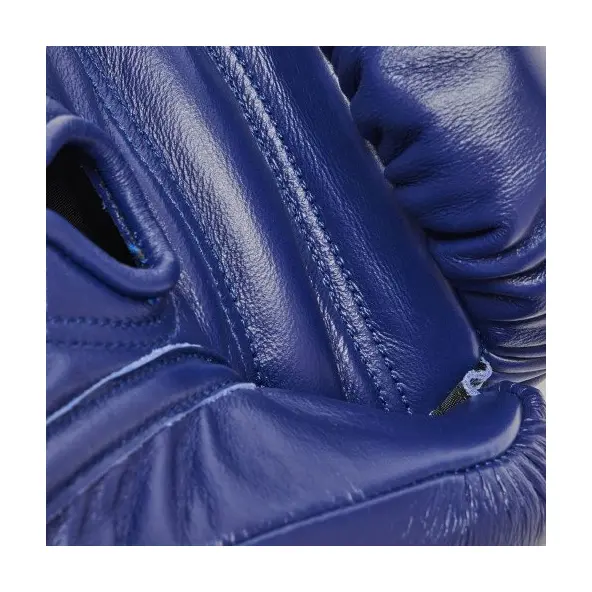 Gants de Boxe Leone Orlando Tricolore