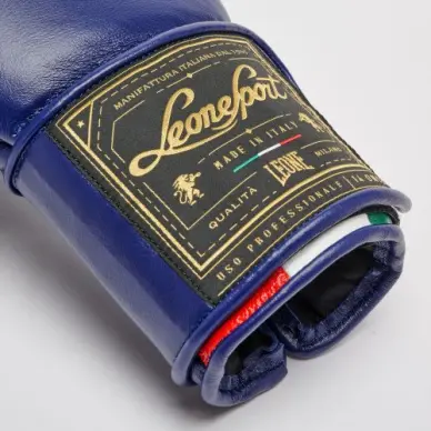 Gants de Boxe Leone Orlando Tricolore - 5