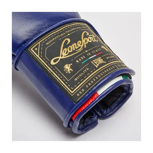 Gants de Boxe Leone Orlando Tricolore