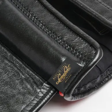 Gants de Boxe Leone Orlando Tricolore - 7