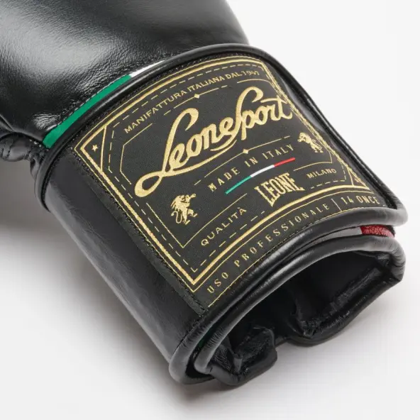 Gants de Boxe Leone Orlando Tricolore