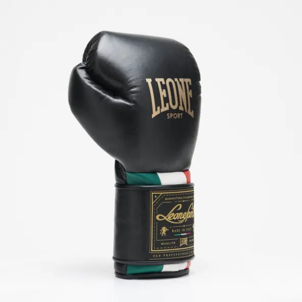 Gants de Boxe Leone Orlando Tricolore