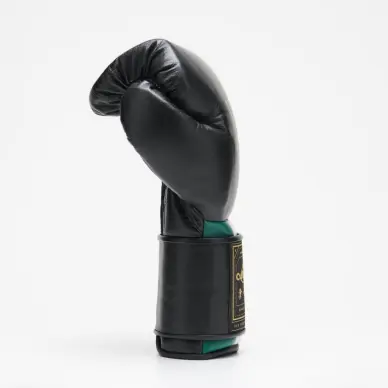 Gants de Boxe Leone Orlando Tricolore - 12