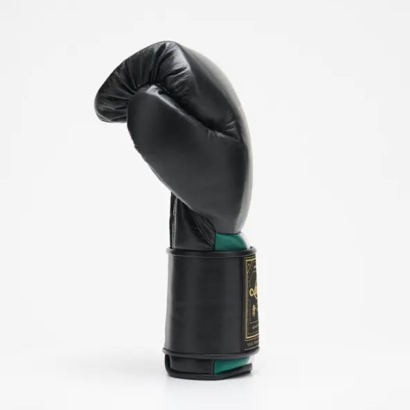 Gants de Boxe Leone Orlando Tricolore