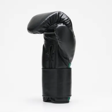Gants de Boxe Leone Orlando Tricolore - 13