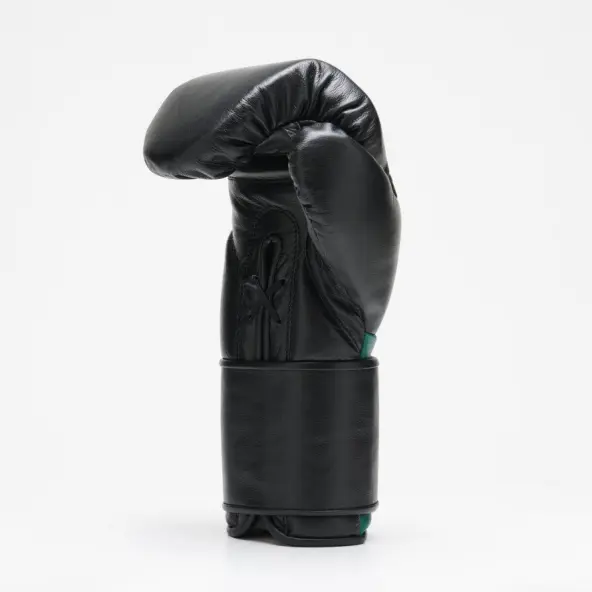 Gants de Boxe Leone Orlando Tricolore