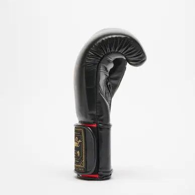 Gants de Boxe Leone Orlando Tricolore - 14