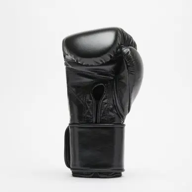 Gants de Boxe Leone Orlando Tricolore - 15