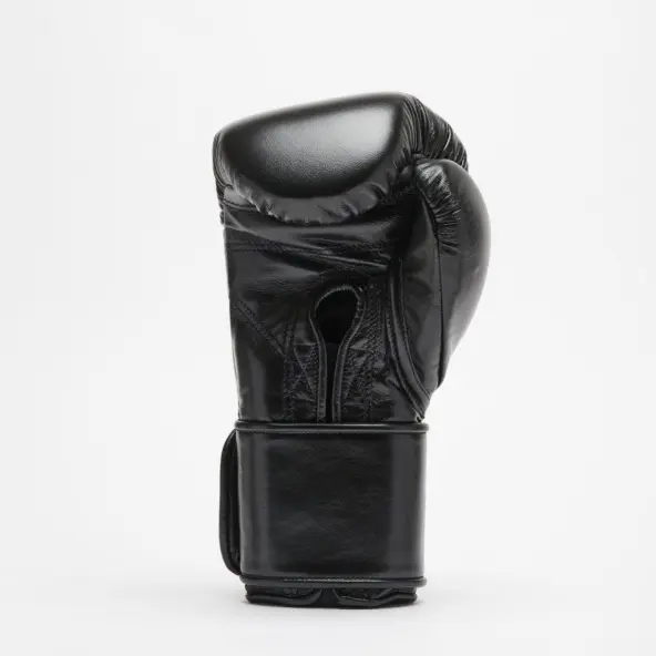 Gants de Boxe Leone Orlando Tricolore