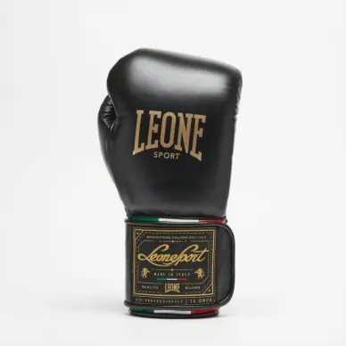 Gants de Boxe Leone Orlando Tricolore - 17