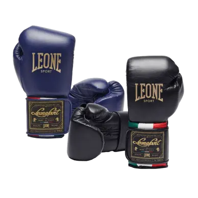 Gants de Boxe Leone Orlando Tricolore - 18