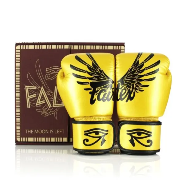 Gants de boxe d'entraînement Fairtex Falcon 100% cuir
