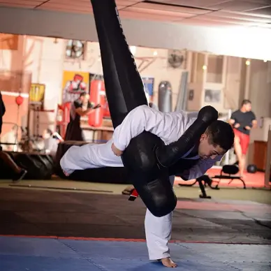Sac de Frappe & Mannequin de Grappling Vador Budo-Fight - 6