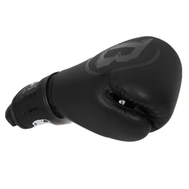 Gants de boxe Booster VX Pro Series