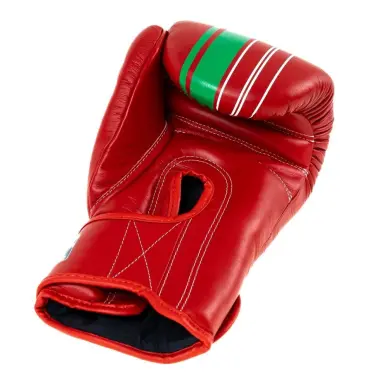 Gants de boxe Booster BGVL V9 Marocco Series - 2