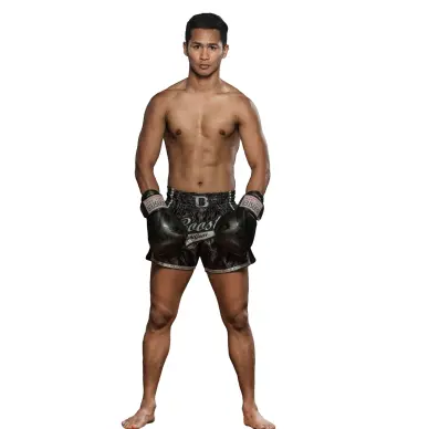 Gants de boxe Booster BGVL V3 Series - 10