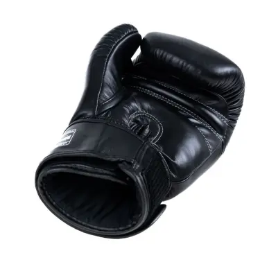 Gants de Boxe Twins BG-N V2 - 4