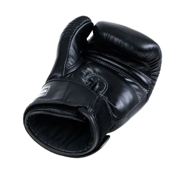 Gants de Boxe Twins BG-N V2