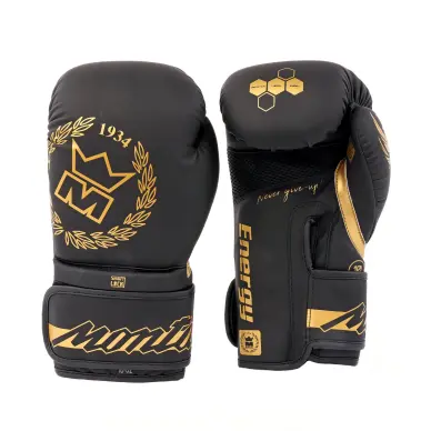 Gants de Boxe Montana Energy