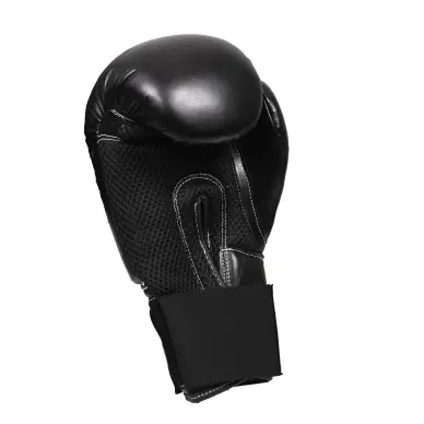 Gants de Boxe Budofight Rookie - 3