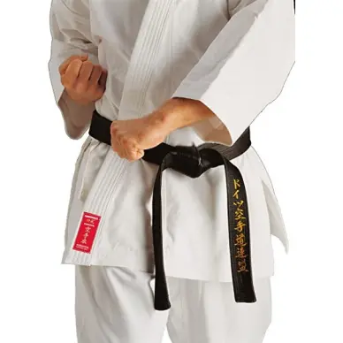 Kimono de Karaté Kamikaze Europa Coupe Kata - 10