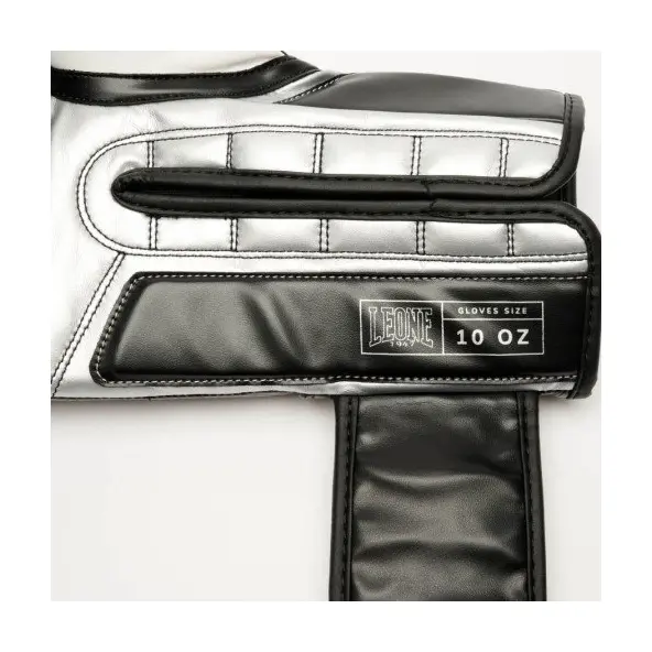 Gants de boxe Leone Iconic