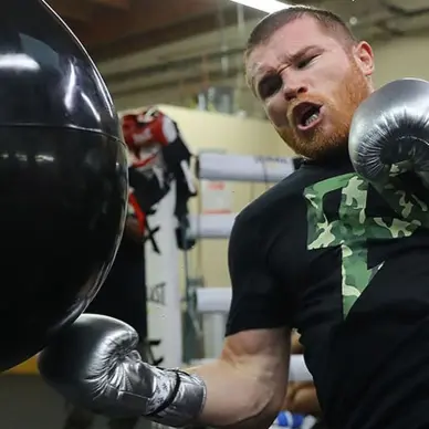 Sac de Frappe Aquabag Heavy Punching 55 kg 120 lb - 15