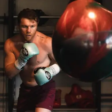 Sac de Frappe Aquabag Heavy Punching 85 kg - 190 lb - 14