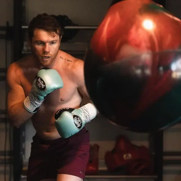 Sac de Frappe Aquabag Heavy Punching 85 kg - 190 lb