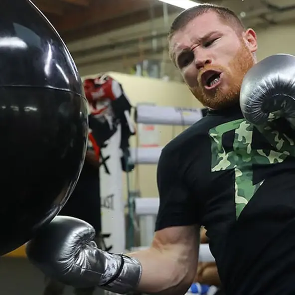 Sac de Frappe Aquabag Heavy Punching 85 kg - 190 lb