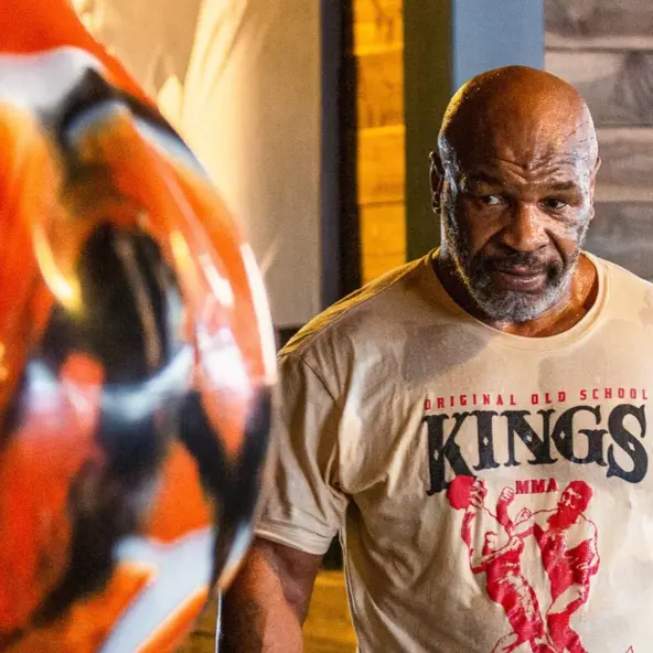 Sac de Frappe Aquabag Heavy Punching 55 kg 120 lb