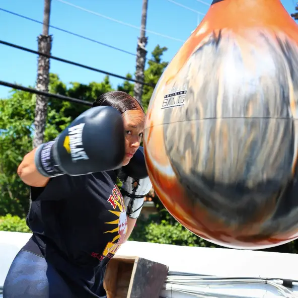 Sac de Frappe Aquabag Heavy Punching 85 kg - 190 lb