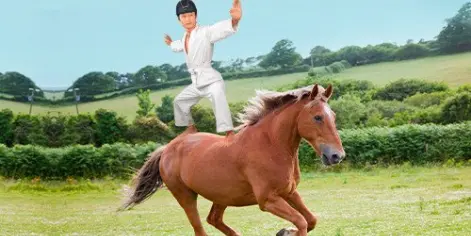 Participez à notre 1er tournoi de karaté à cheval !
