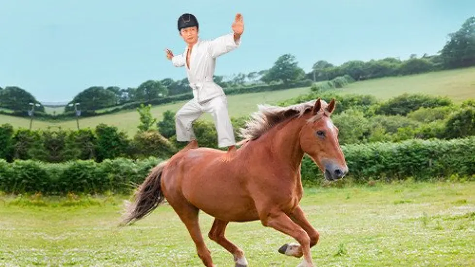 Participez à notre 1er tournoi de karaté à cheval !