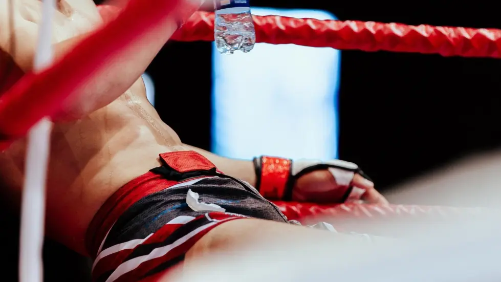 La légende du MMA : Conor McGregor