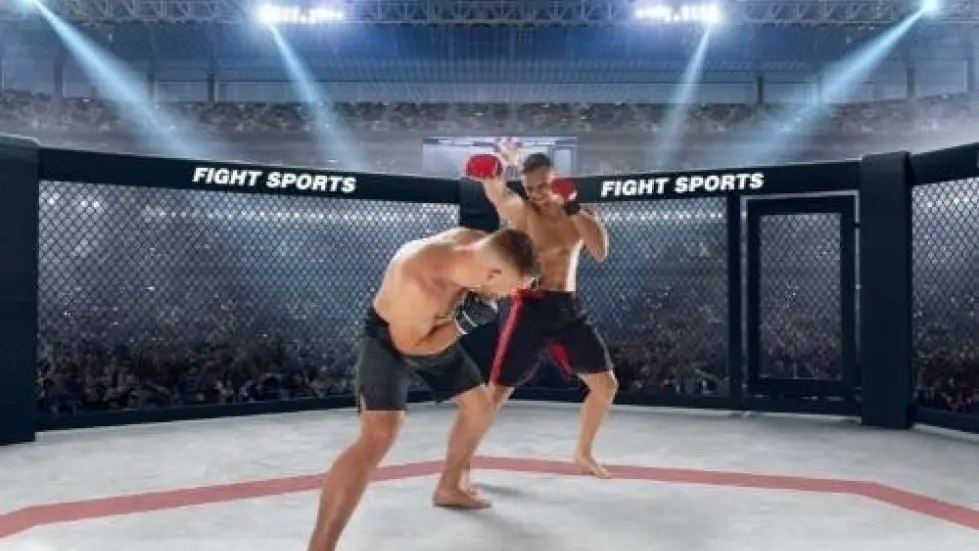 MMA : l’UFC France devient réalité !