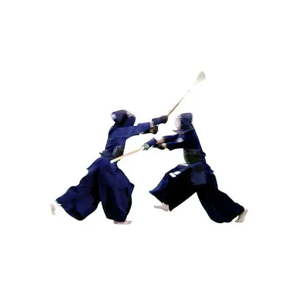 Shinai Adulte Femme taille 38