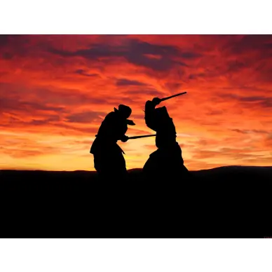 Shinai Adulte Femme taille 38 - 2