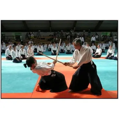 Jyo Chêne Blanc Qualité Japonaise 128cm