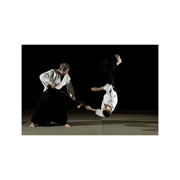 Jyo Chêne Rouge Importé du Japon 128cm