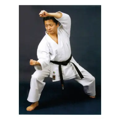 Kimono de Karaté Shureido TK-10 Tournament coupe kata - 10