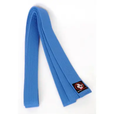 Ceinture de Judo Budofight - 9