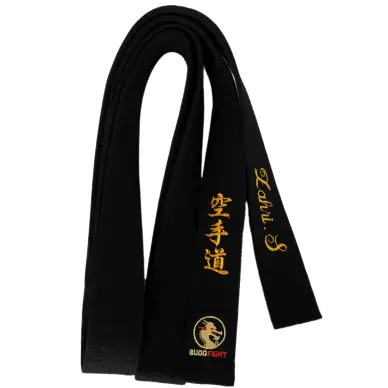 Ceinture de Judo Budofight - 15