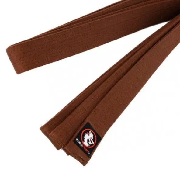 Ceinture de Karaté Marron