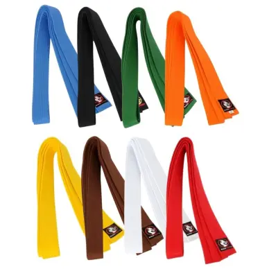 Ceinture de Judo Budofight - 18