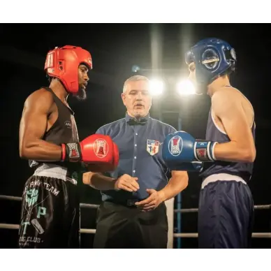 Gants de Boxe Falcon 100% cuir - 14