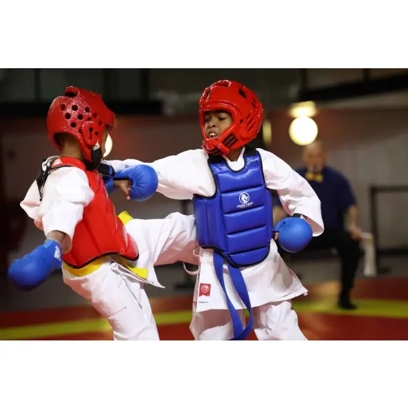 Casque de karaté FFK